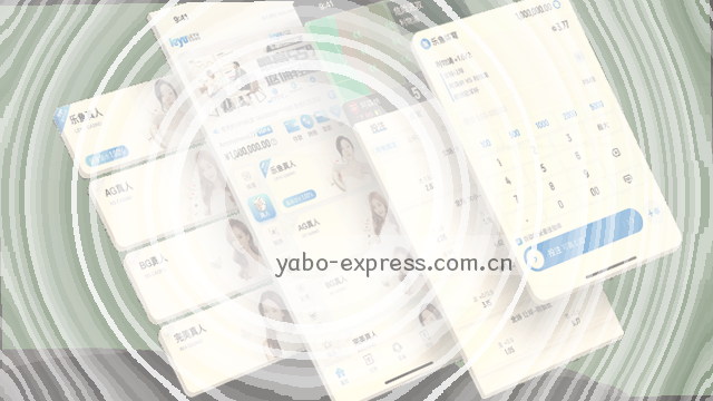 轻量版安装引导清单